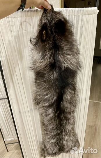 Шкурка животного писец