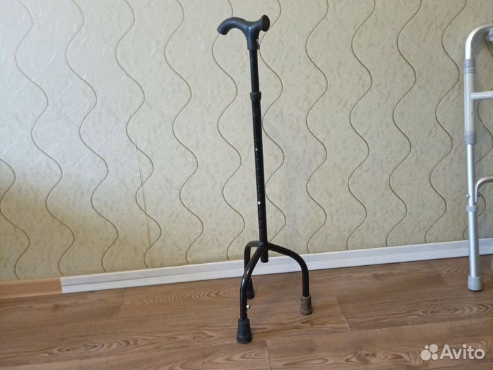 Бадик трость