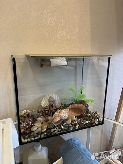 Аквариум на 20 литров
