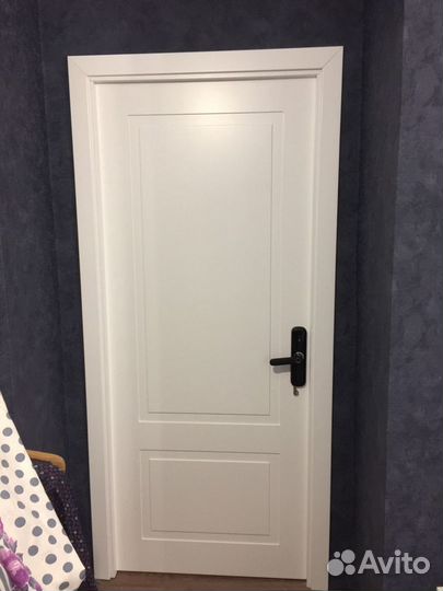 Двери межкомнатные эмаль и шпон