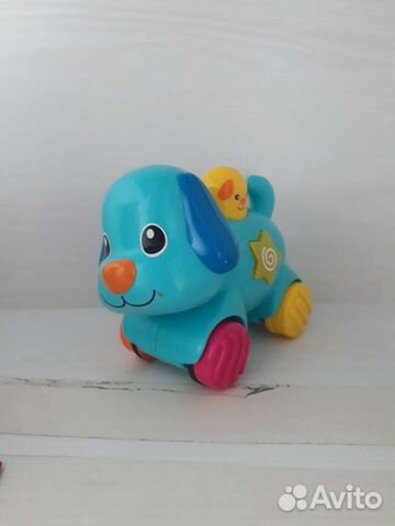 Музыкальная собака