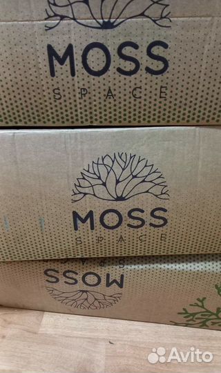 Стабилизированный мох 9 кг