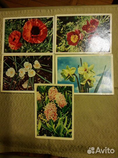 Открытки СССР 60-х г