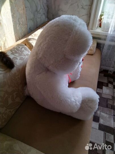 Медведь плющевый