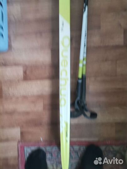 Беговые лыжи