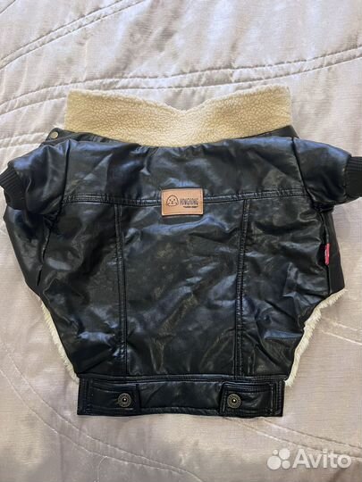 Одежда для собак