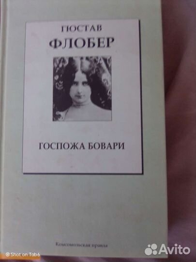 Флобер Госпожа Бовари