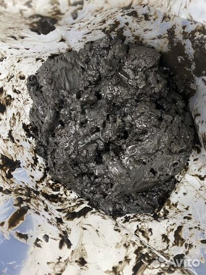 Фуза подсолнечника