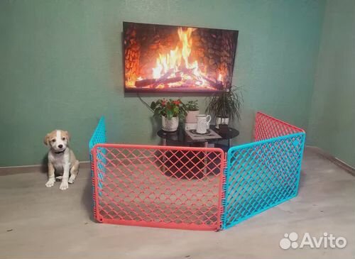 Клетка вольер для щенков