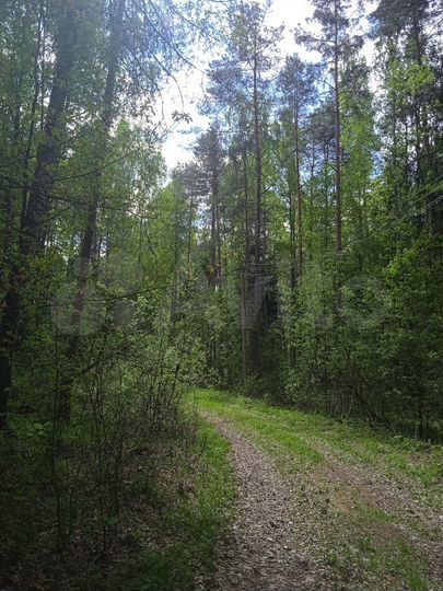 Участок 15,9 сот. (ИЖС)