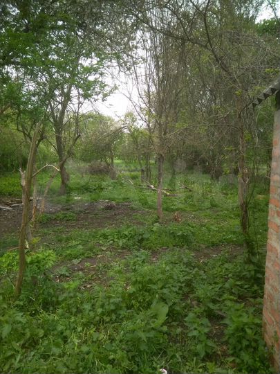 Дом 29 м² на участке 26 сот.