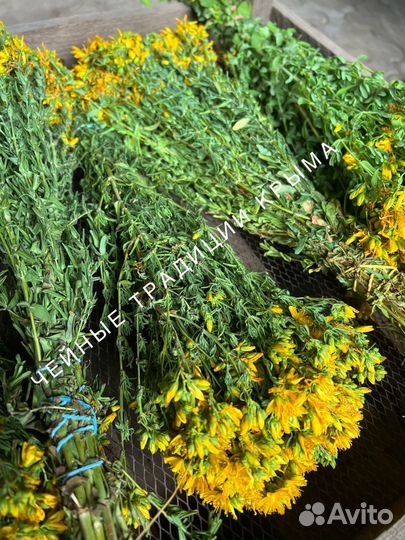 Зверобой сушенный