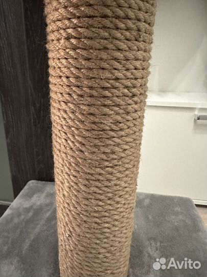 Когтеточка-домик