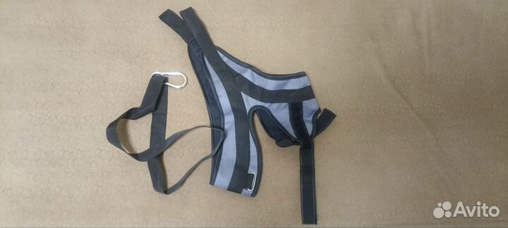 Петля Глиссона