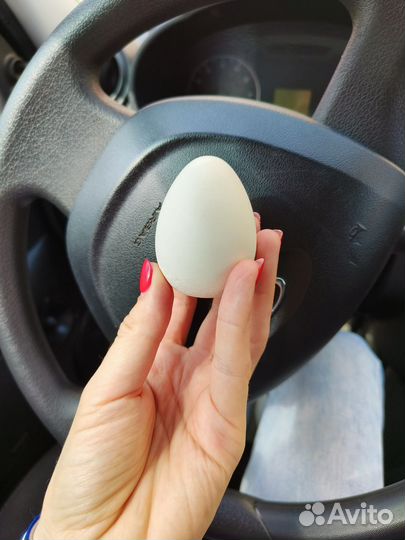 Яйцо гипсовое подарок ребёнку