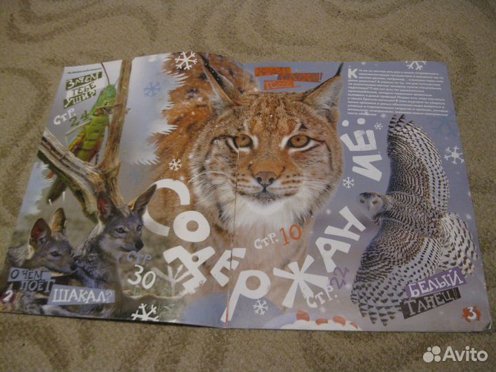 Журнал о животных