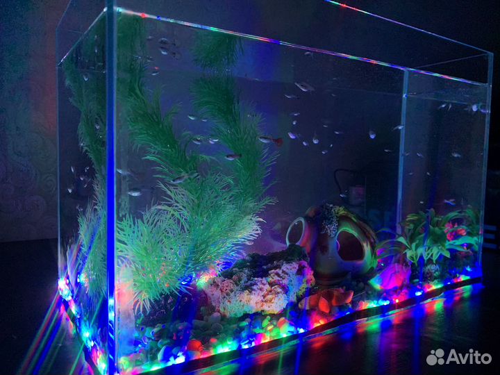 Аквариум с рыбками