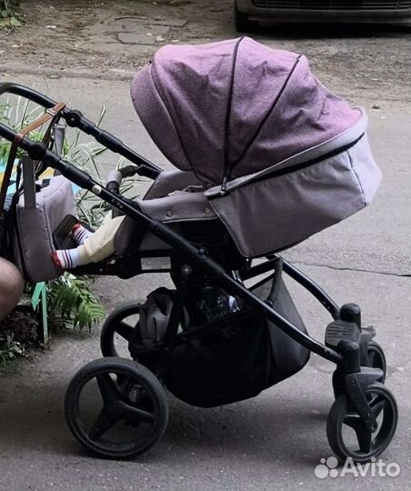 Коляска 2 в 1 adamex reggio