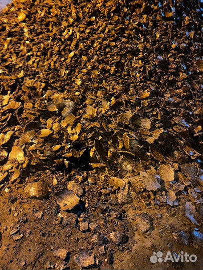 Шрот подсолнечный и жмых