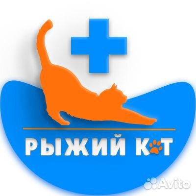 Бизнес ассистент/помощник руководителя