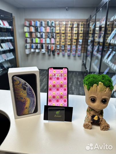 iPhone XS 256gb