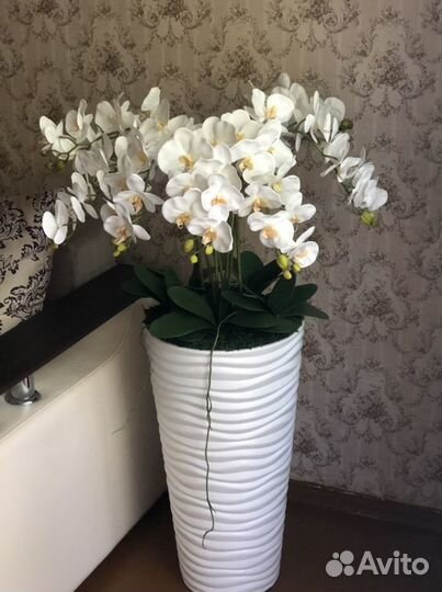 Орхидея в напольном кашпо