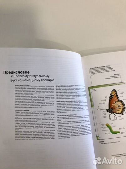 Визуальный словарь русско-немецкий