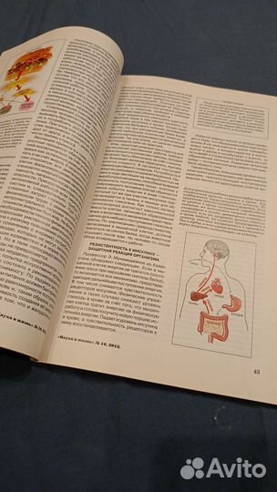 Журнал Наука и Жизнь 10/2013