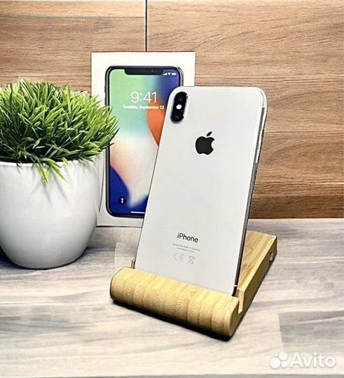 iPhone X, 256 ГБ
