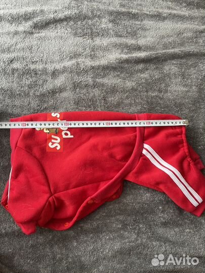 Спортивный костюм