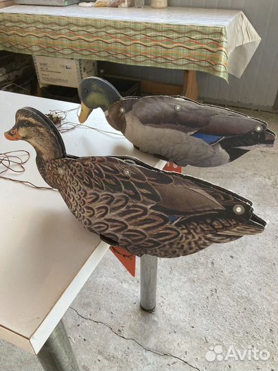 Чучела уток для охоты