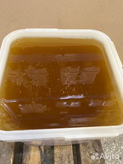 Свежий мед майский оптом