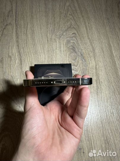 iPhone 12 Pro Max, 256 ГБ