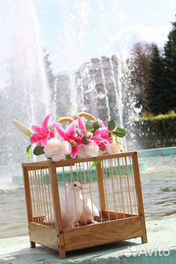 Голуби белые на праздник