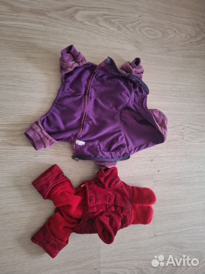 Одежда для собак мелких пород