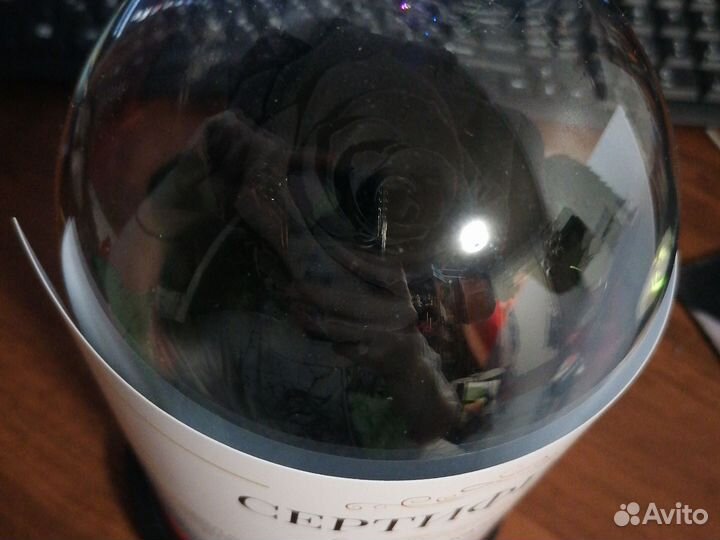 Роза в колбе живая