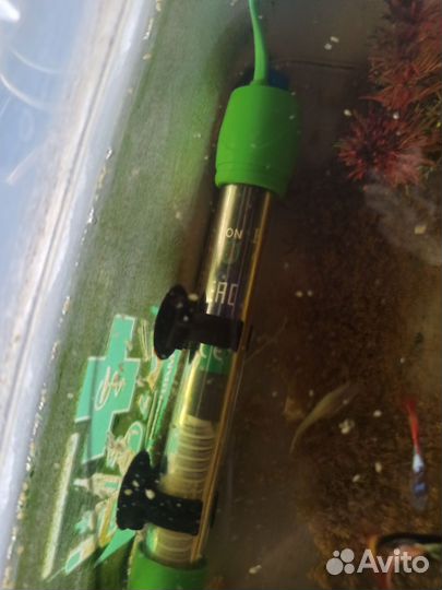 Обогреватель и градусник для аквариума