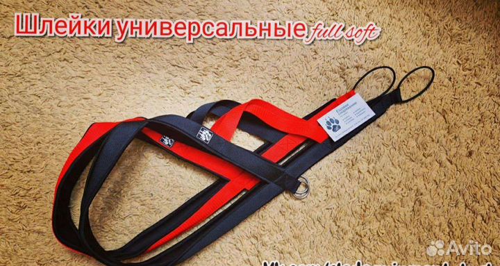 Шлейки и амуниция для собаки