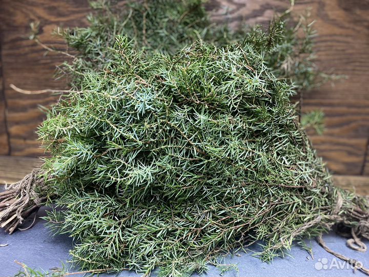 Веник можжевельник