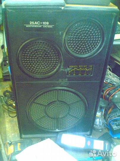 Колонки Вега 25ас-109