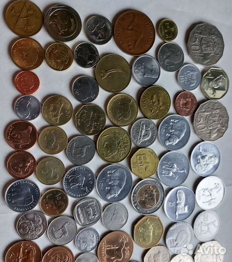 Животные (Фауна) монеты