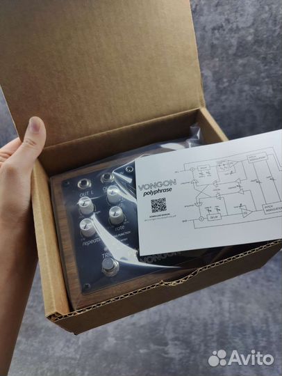 Vongon Polyphrase: авангардный стерео-дилей