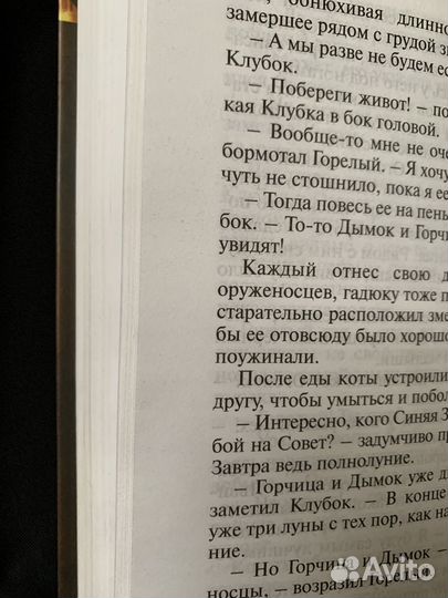 Коты-воители.Стань диким