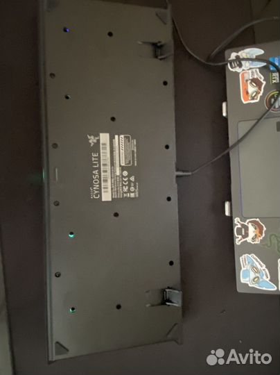 Клавиатура Razer Cynosa lite