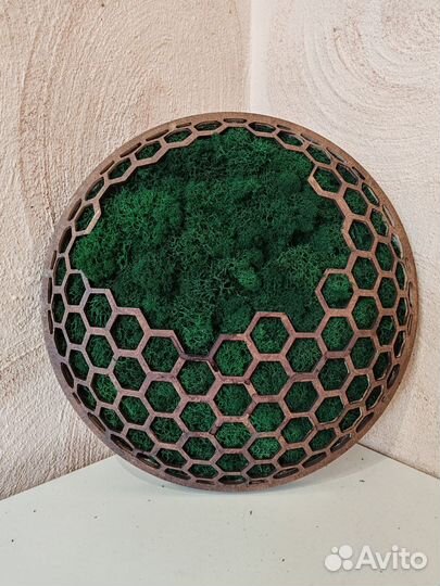 Панно со мхом