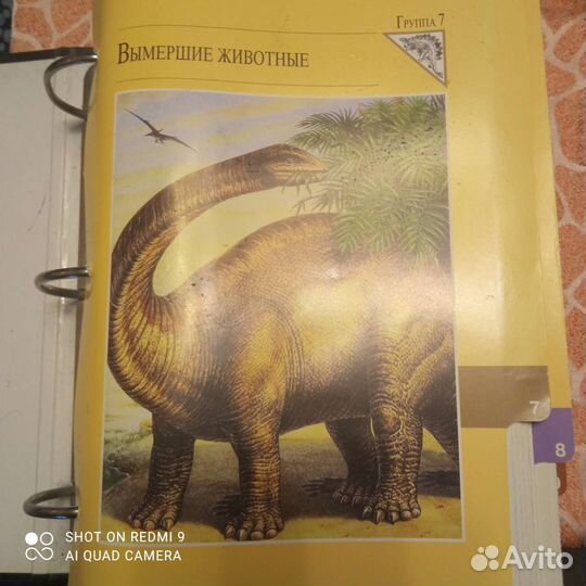 Энциклопедия животных,цветные карты 4 тома