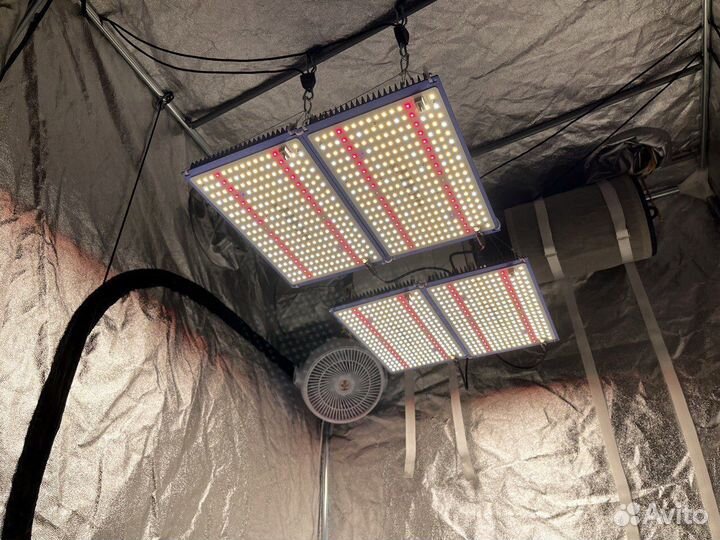 Quantum Board 480вт Samsung LM301B Фитосветильник