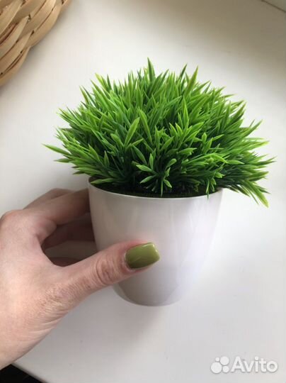 Растение искусственное