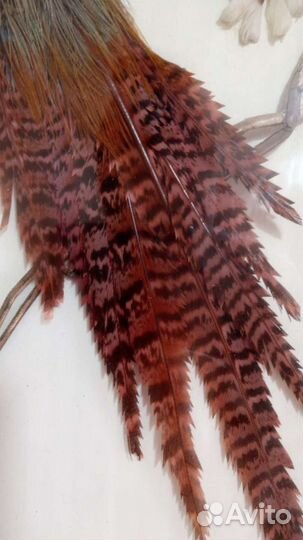 Павлин картина панно Китай, винтаж