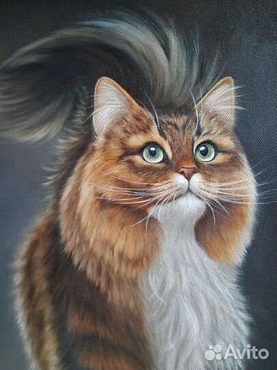 Картина маслом. Котик